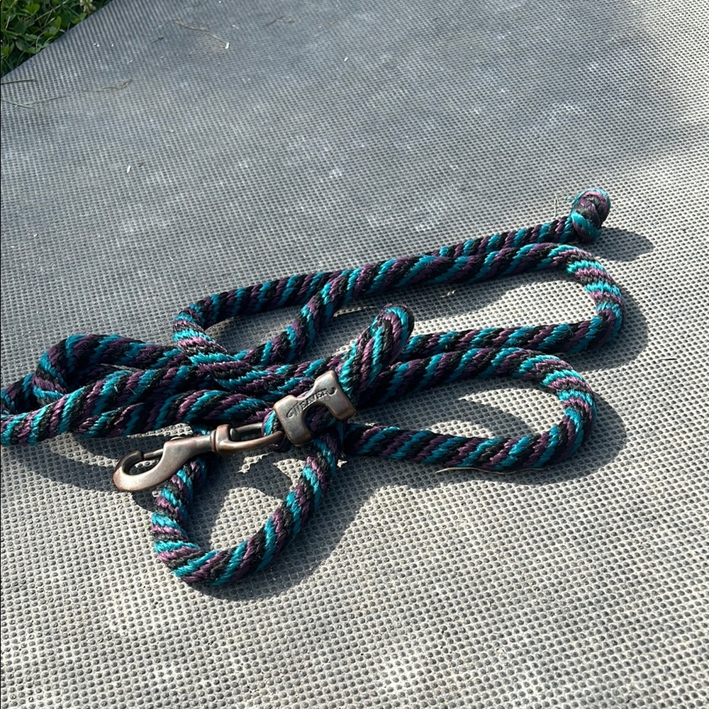 Teal and Black Rope Leash